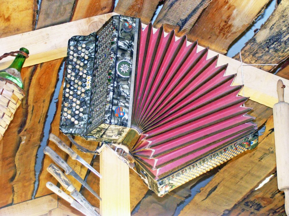 Zieharmonika, Markthalle