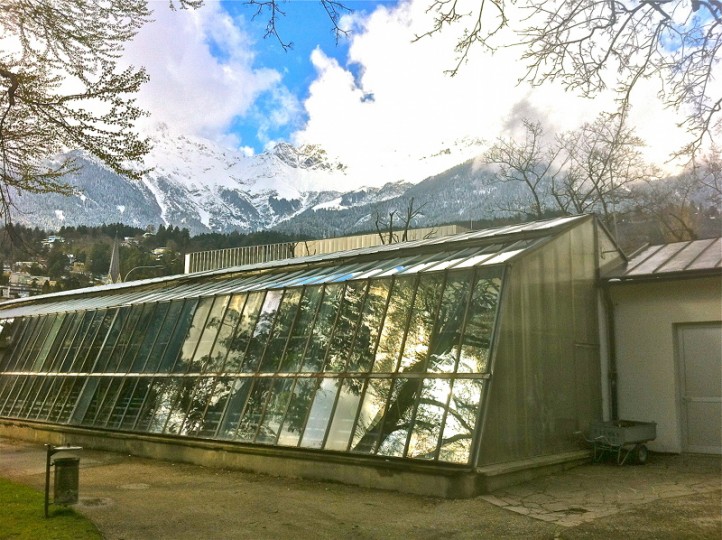 Das Palmenhaus im Innsbrucker Hofgarten Das Palmenhaus. Die feuchtwarme Oase am Fuße der Nordkette
