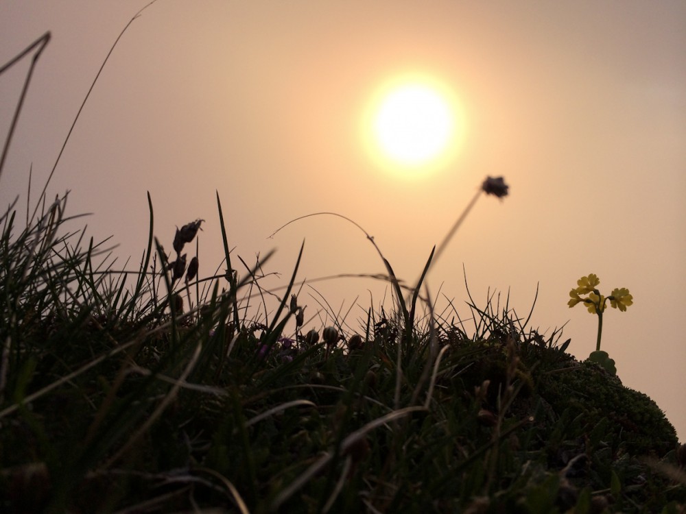 Auch bei Nebel können Sonnenaufgänge wunderschön sein.