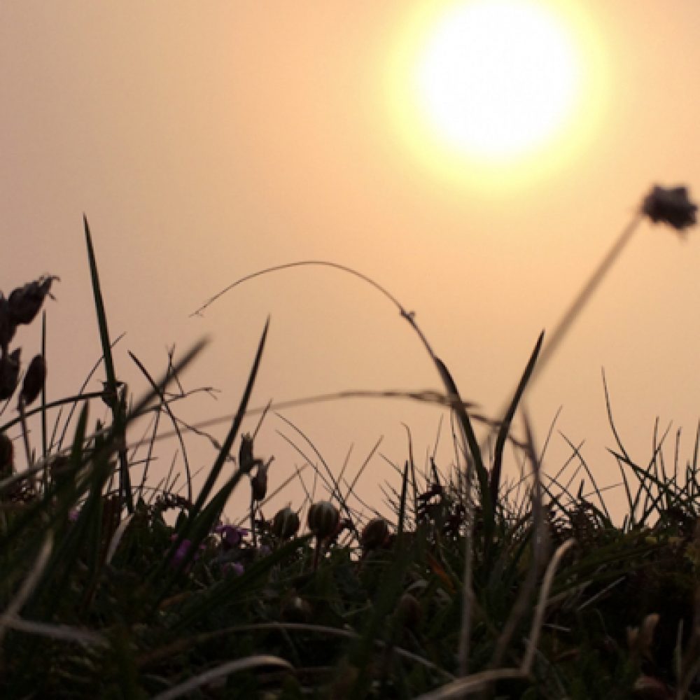 Titelbild_Sonnenaufgänge