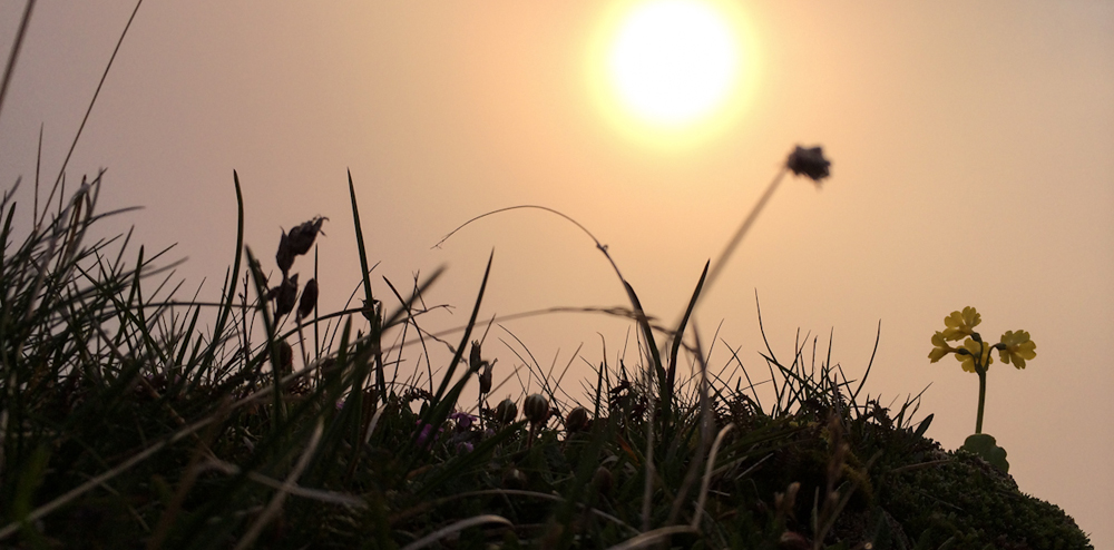 Titelbild_Sonnenaufgänge