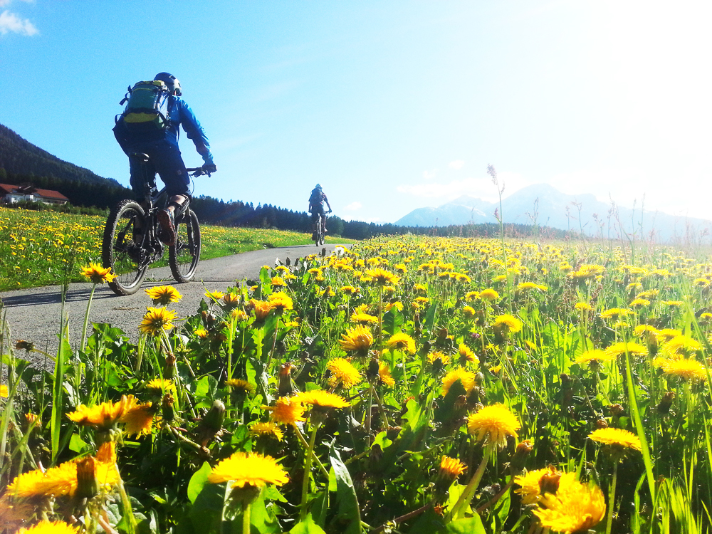 Mountainbike Shop Innsbruck Reparatur, Höttinger Alm Apres Bike Eisdiele