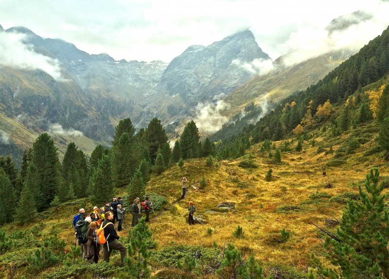 Wildbeobachtung im Lüsener Tal zur Zeit der Hirschbrunft Praxmar Lüsener Tal Sellrain