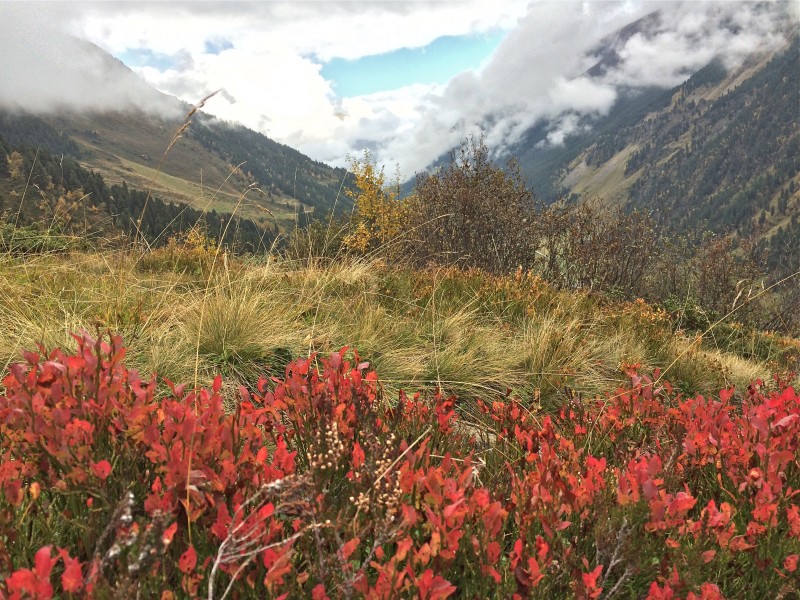 Herbstfarben im Lüsener Tal Lüsener Tal