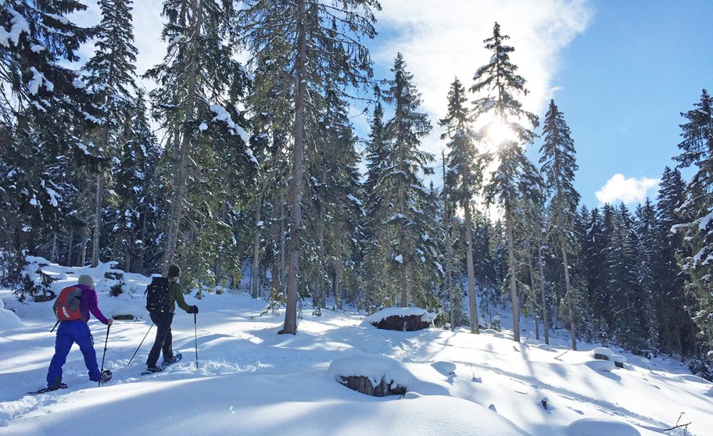 Schneeschuhwandern in Innsbruck Waldklein