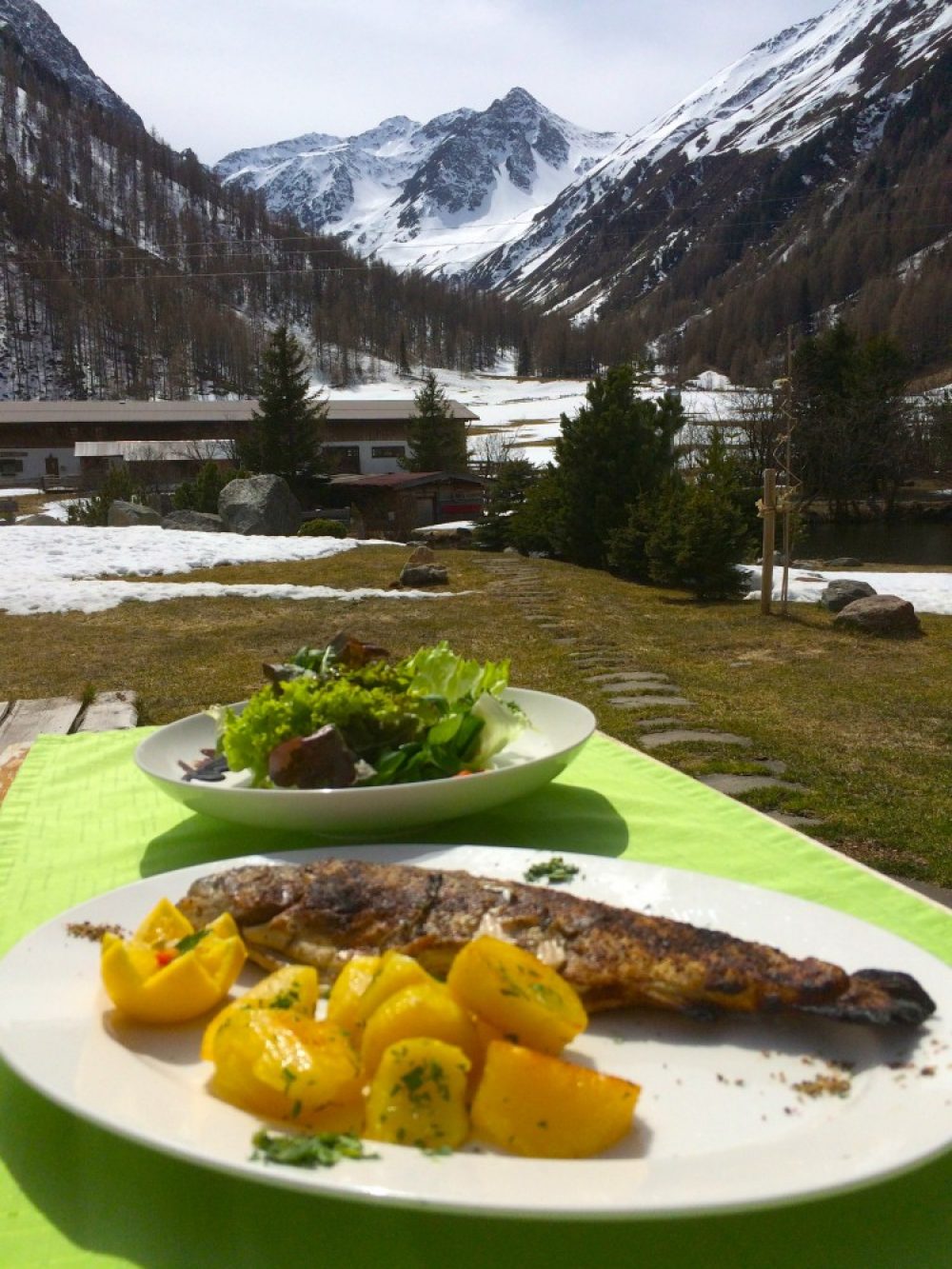 Forellenhof Die vorzüglich zubereitete Forelle auf Lavasteinen samt Silzer Kartoffeln und hohen Bergen.