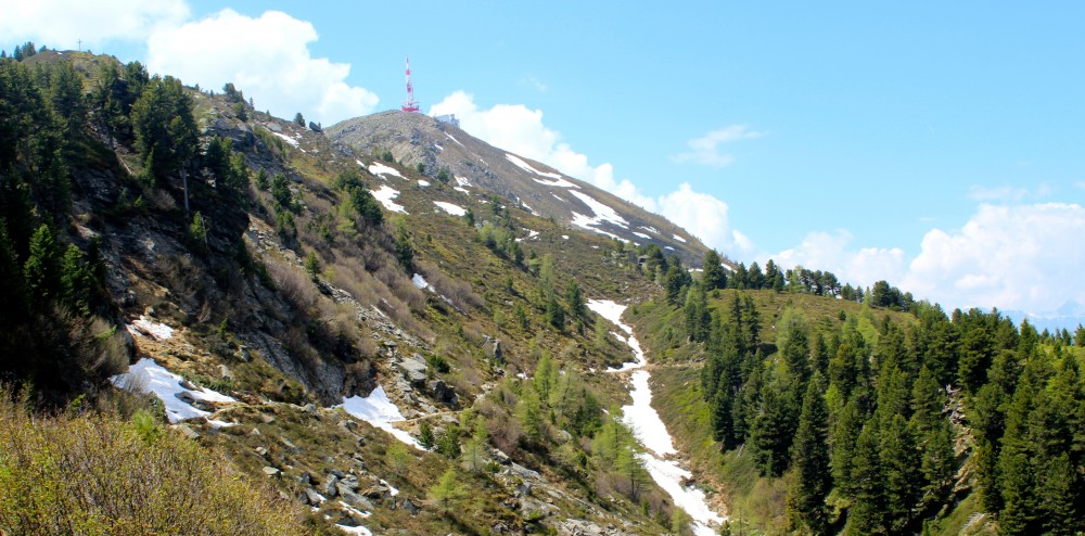 Zirbenweg am Patscherkofel