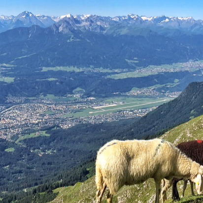 titel pfeis gleirsch