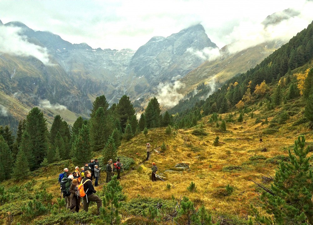 Wildbeobachtung im Schatten der majestätischen Berggipfel des Lüsener Tales