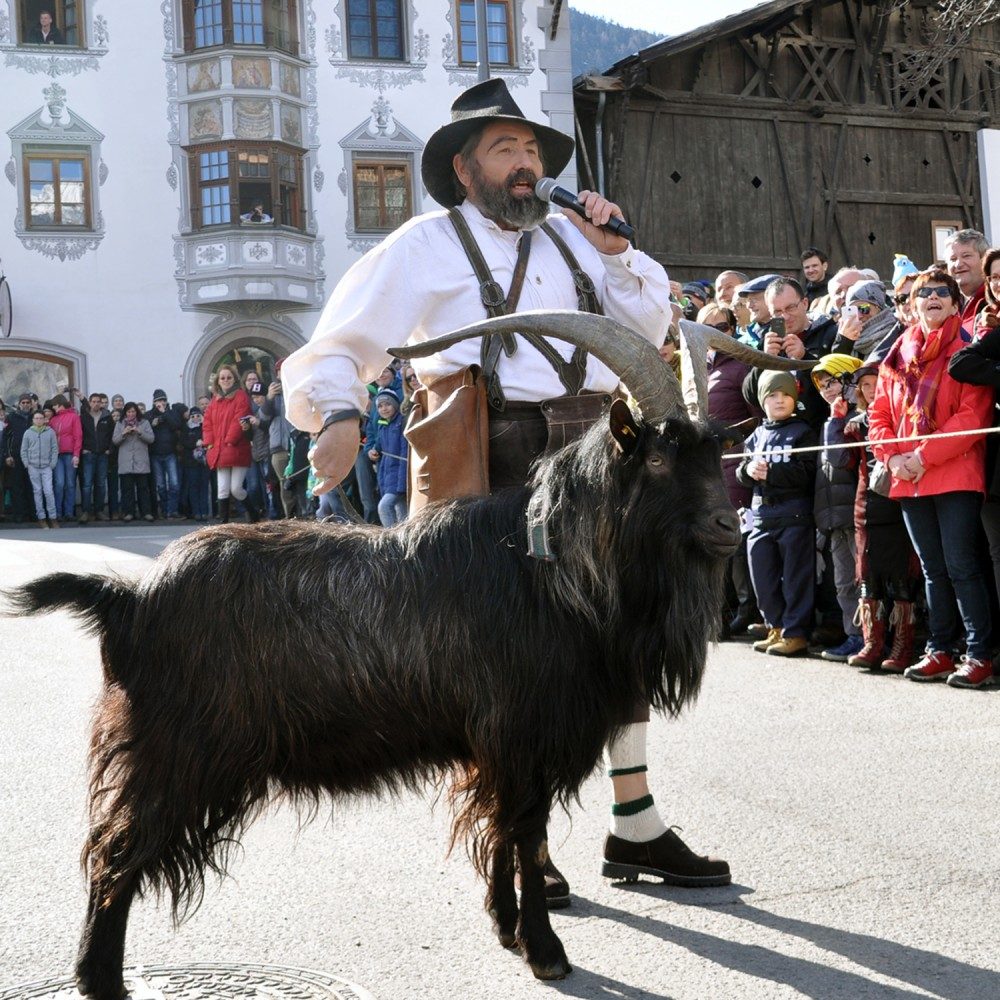 Il caprone del carnevale di Axams. Foto: Fasnachtsverein Axams.
