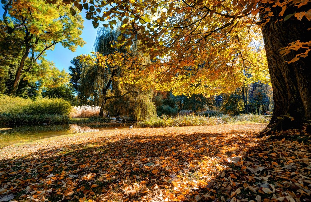 Innsbrucks Hofgarten