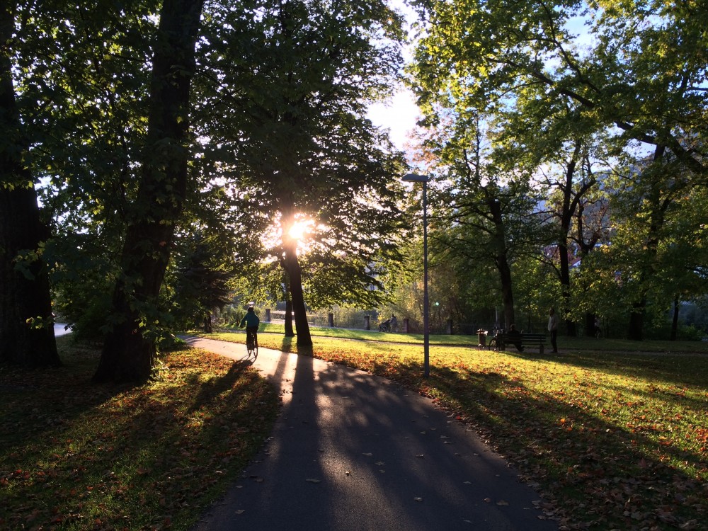 Herbst am Innradweg.
