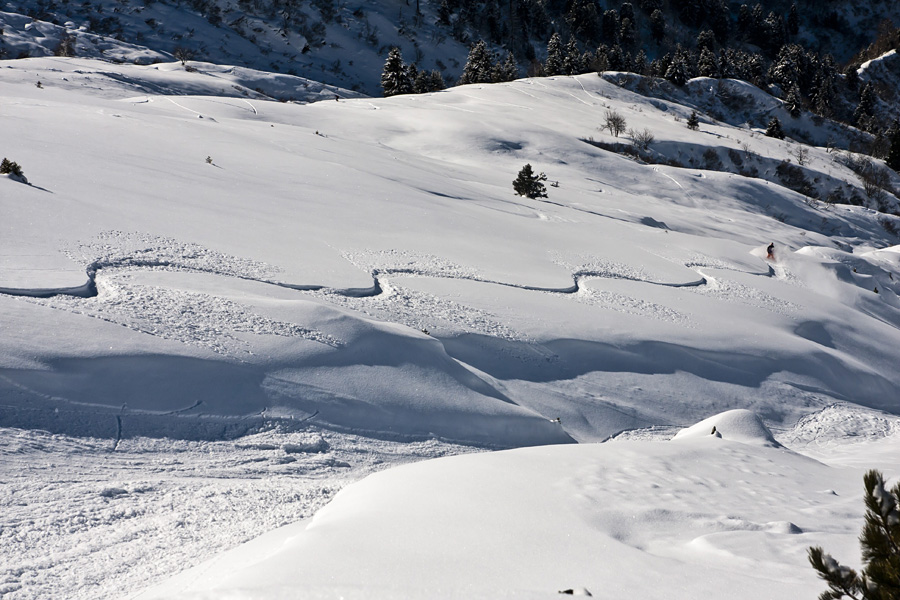 freeride city, innsbruck, sellrain, kühtai, axamer lizum, skitour, freeride