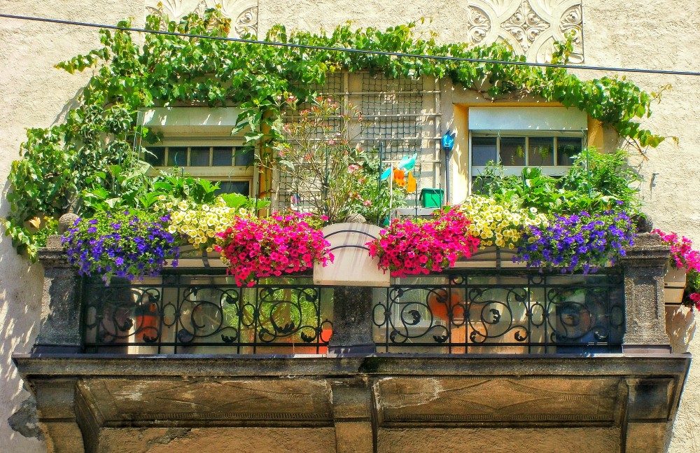Urban Gardening mit allerlei Gemüse und Blumen Auf knapp 5 m2 blüht und gedeiht es, dass es eine Freude ist.