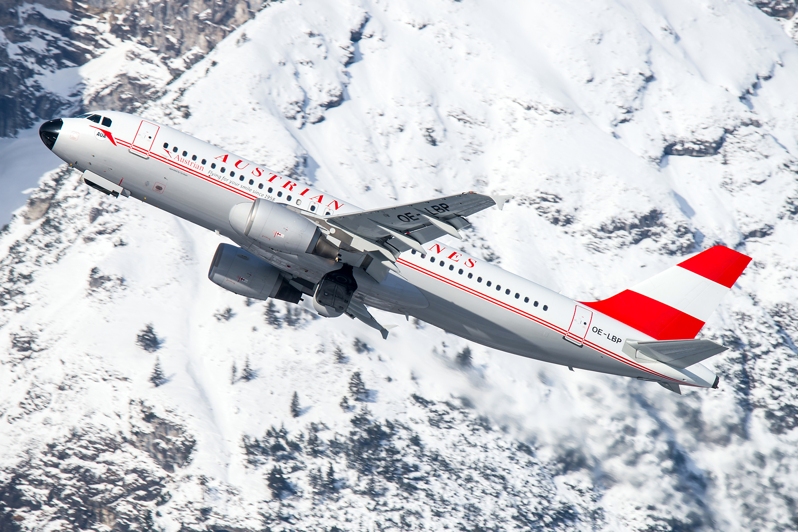 Der Retro-Airbus von Austrian Airlines ist ein beliebtes Motiv - Foto: Danijel Jovanovic