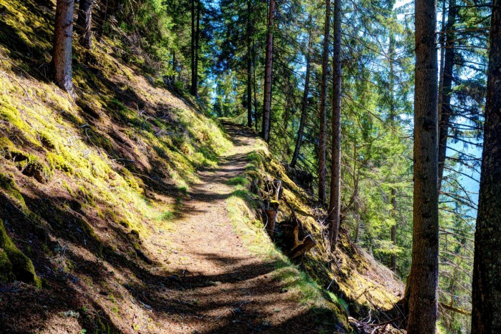 Der Besinnungsweg von Gries nach St. Quirin führt auf einer uralten Wegtrasse, auf der vielleicht schon Kaiser Maximilian gewandelt ist.