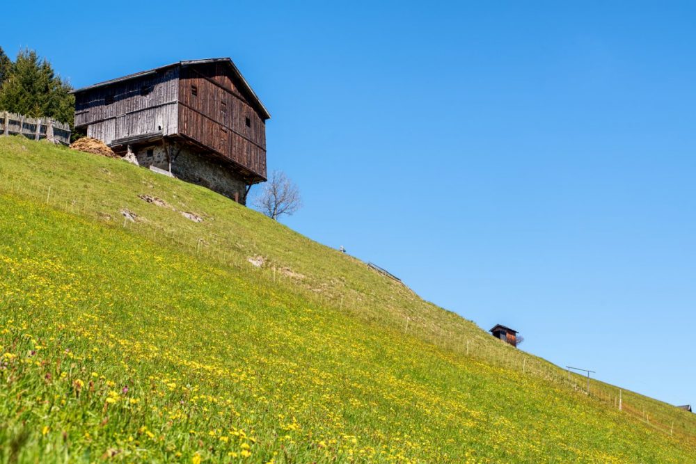 So steil sind die Bergmähder in St. Quirin. Bild: Danijel Jovanovic