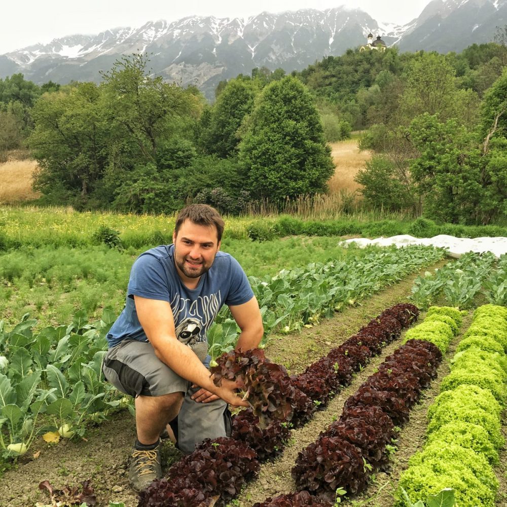 Christoph auf einem seiner Salatfelder. Er züchtet insgesamt 12 verschiedene Salatarten.