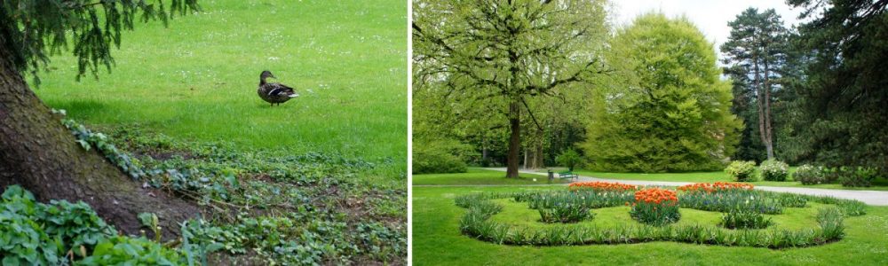 Garten