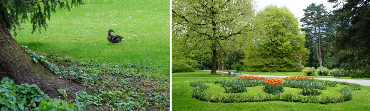 Garten