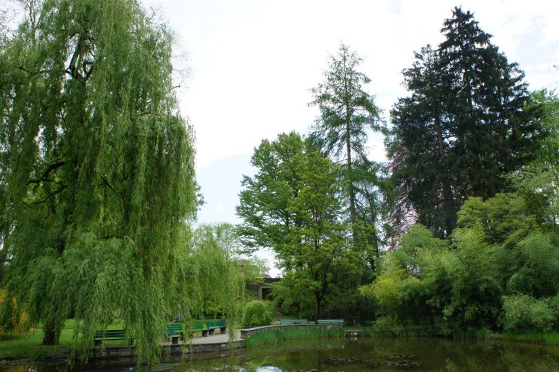 Hofgarten