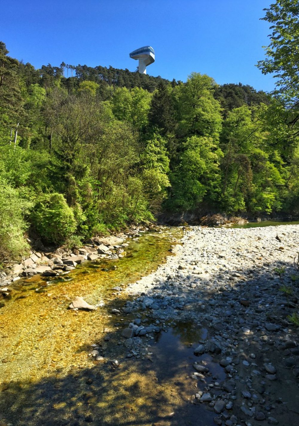 Die Sillschlucht sind ein Paradies für Wildkräuter. Immer im Anblick der monumentalen Berg Isel Schanze.