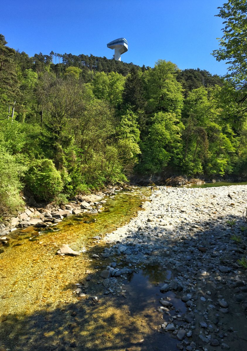 Die Sillschlucht sind ein Paradies für Wildkräuter. Immer im Anblick der monumentalen Berg Isel Schanze.