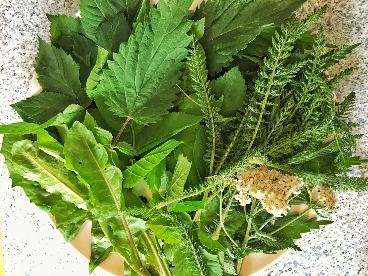 Die Wildkräutermischung für die Tarte kann individuell variiert werden.