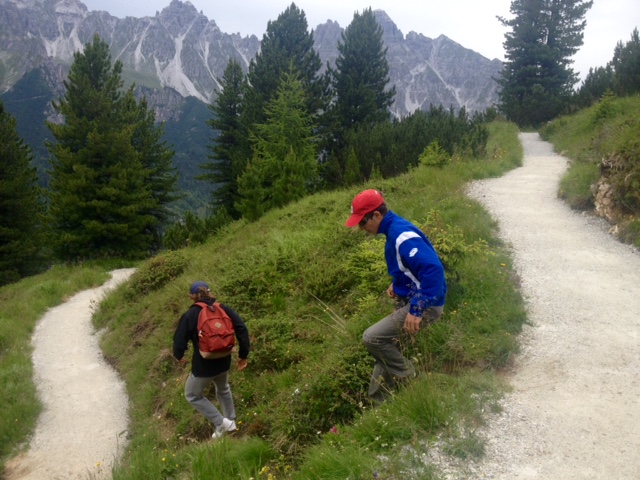 Abschneider zerstören die Vegetation. Foto: Tamara Kainz