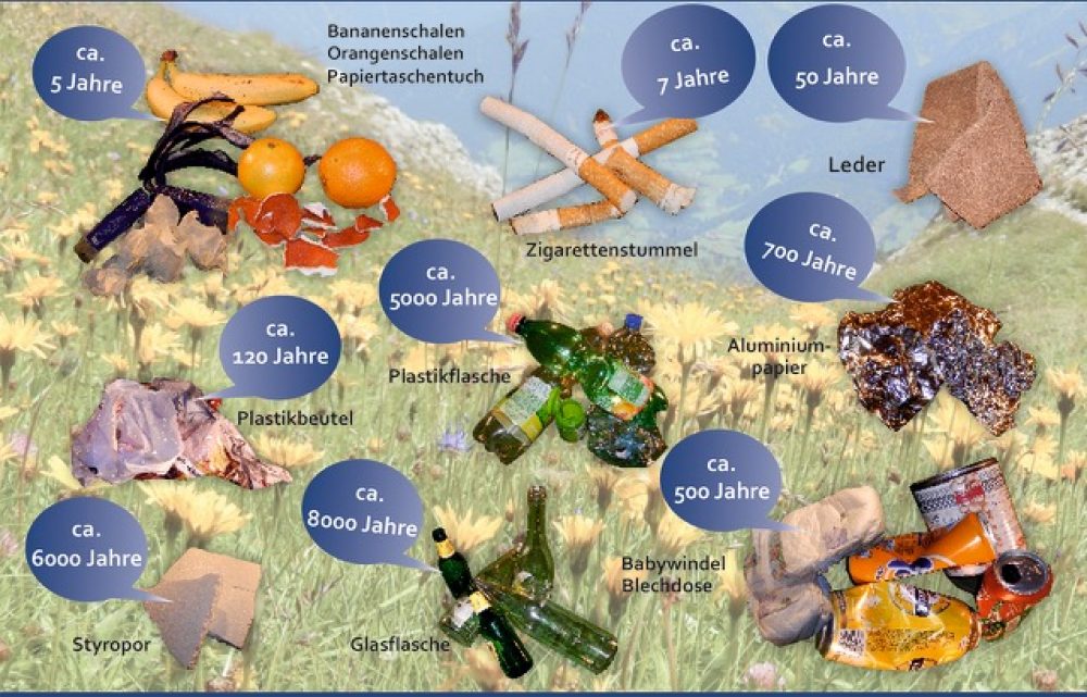 Die Verrotungszeiten von Bananenschalen, Glasflaschen und Co. sind sehr lang.
