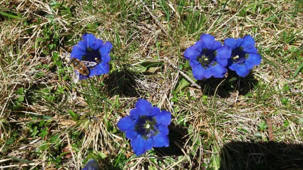 Flora und Fauna werden etwa dadurch geschützt, dass der Sportler auf den markierten Wegen bleibt.