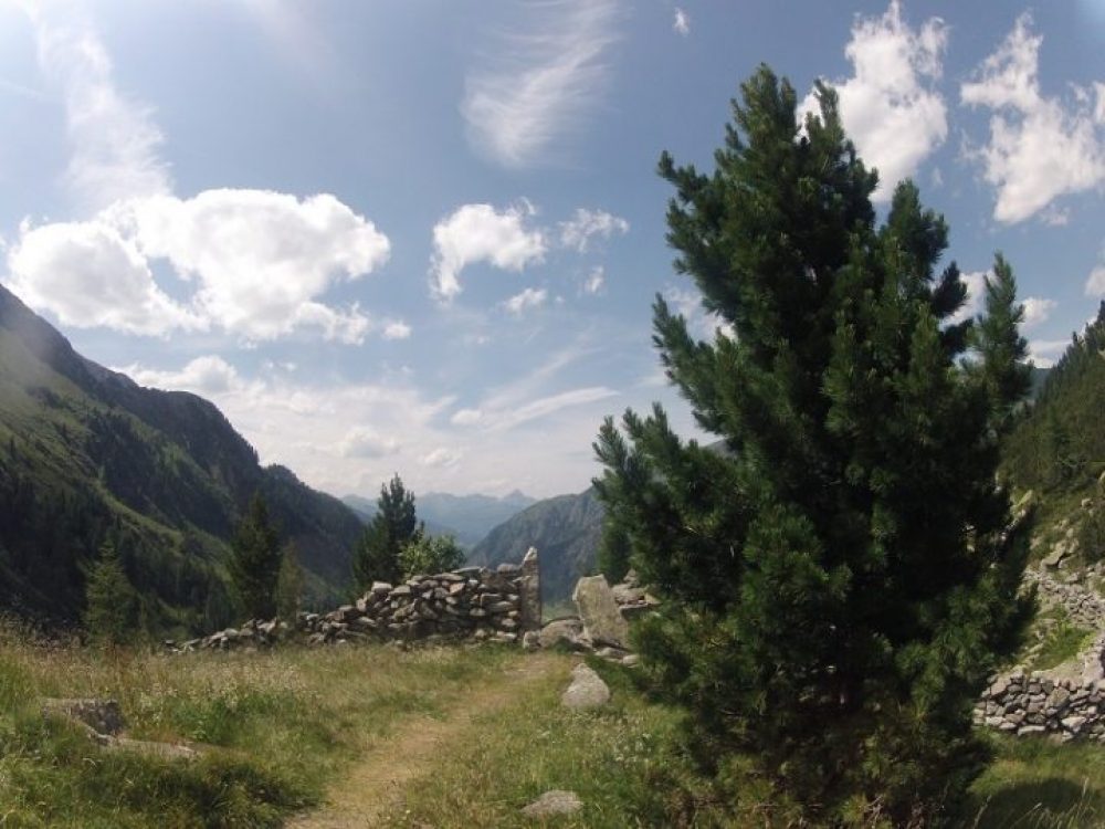Der Zuständigkeitsbereich der Bergwacht erstreckt sich bis auf eine Seehöhe von ca. 2.500 Metern