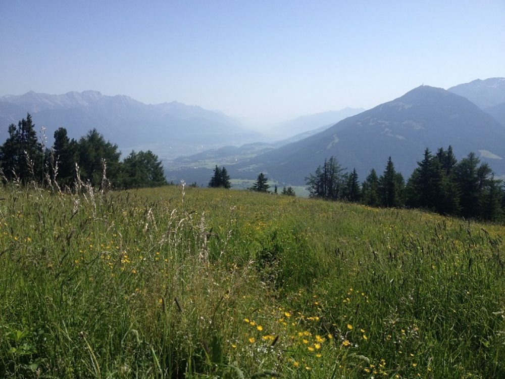 Nur gemeinsam gelingt es, die intakte Tiroler Natur zu erhalten. Foto: Tamara Kainz
