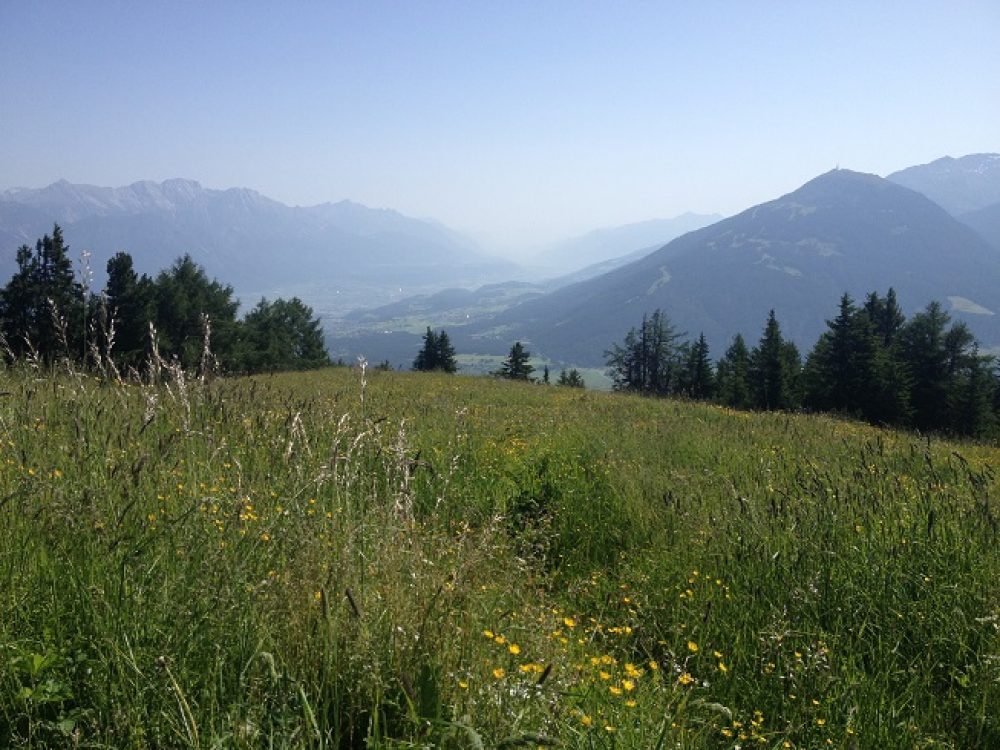 Nur gemeinsam gelingt es, die intakte Tiroler Natur zu erhalten. Foto: Tamara Kainz