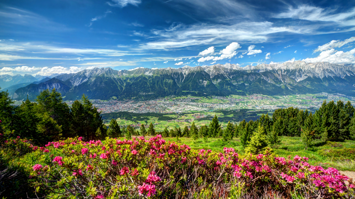 Almrosenblüte am Zirbenweg - #myinnsbruck