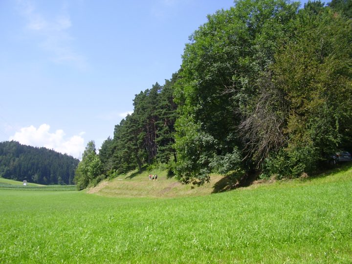 Il sentiero che costeggia il bosco e porta al lago Natterer See. Foto Laura Manfredi