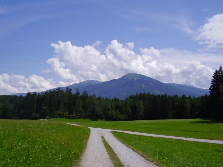 Il cammino verso Natterer Boden costeggia campi in fiore. Foto Laura Manfredi