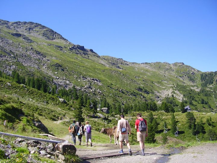 L'inizio del sentiero dei Pini Cembri © Laura Manfredi