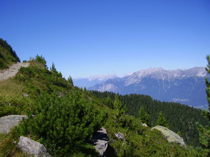 Una bella escursione da Innsbruck: il sentiero dei Pini Cembri © Laura Manfredi
