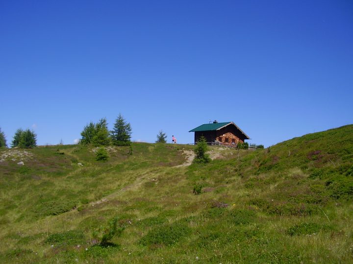 Una bella escursione da Innsbruck: il sentiero dei Pini Cembri © Laura Manfredi