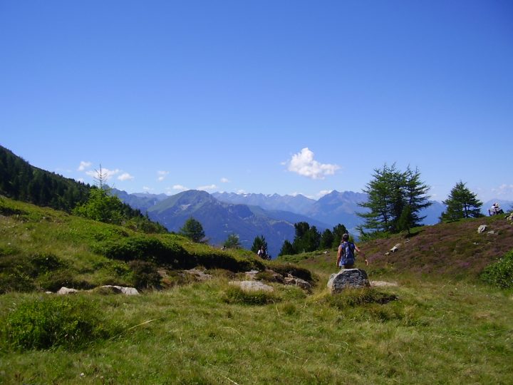 La vista sulla vallata dal sentiero dei Pini Cembri © Laura Manfredi