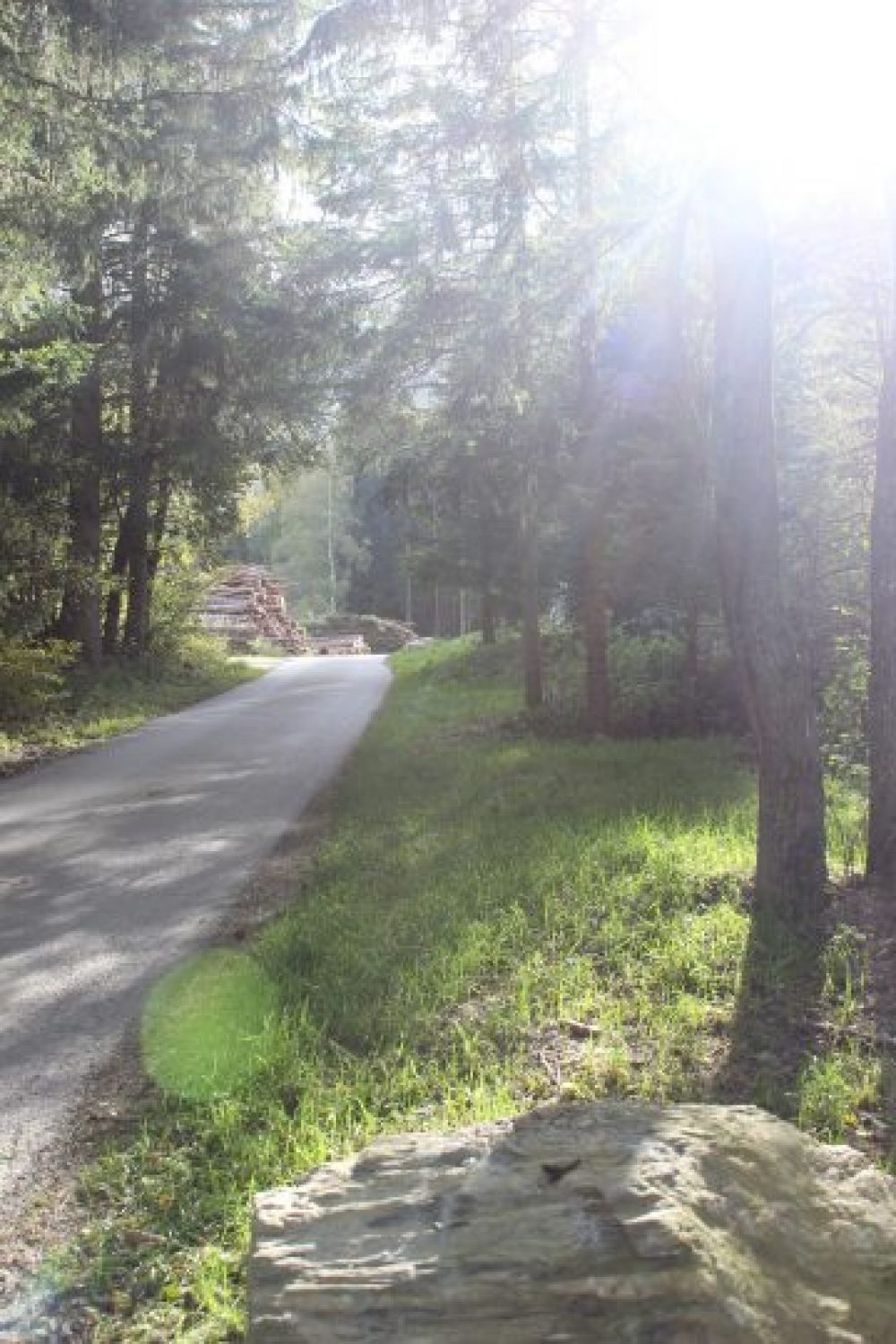 Wiesen und Wälder, viel Sonnenschein: die Vitalregion punktet mit einer überdurchschnittlichen Freizeit- und Lebensqualität. Foto: Kristina Erhard