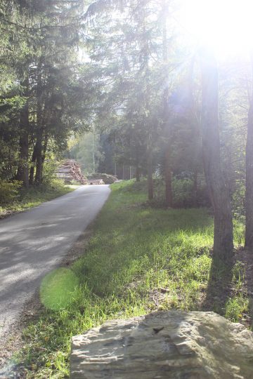 Wiesen und Wälder, viel Sonnenschein: die Vitalregion punktet mit einer überdurchschnittlichen Freizeit- und Lebensqualität. Foto: Kristina Erhard