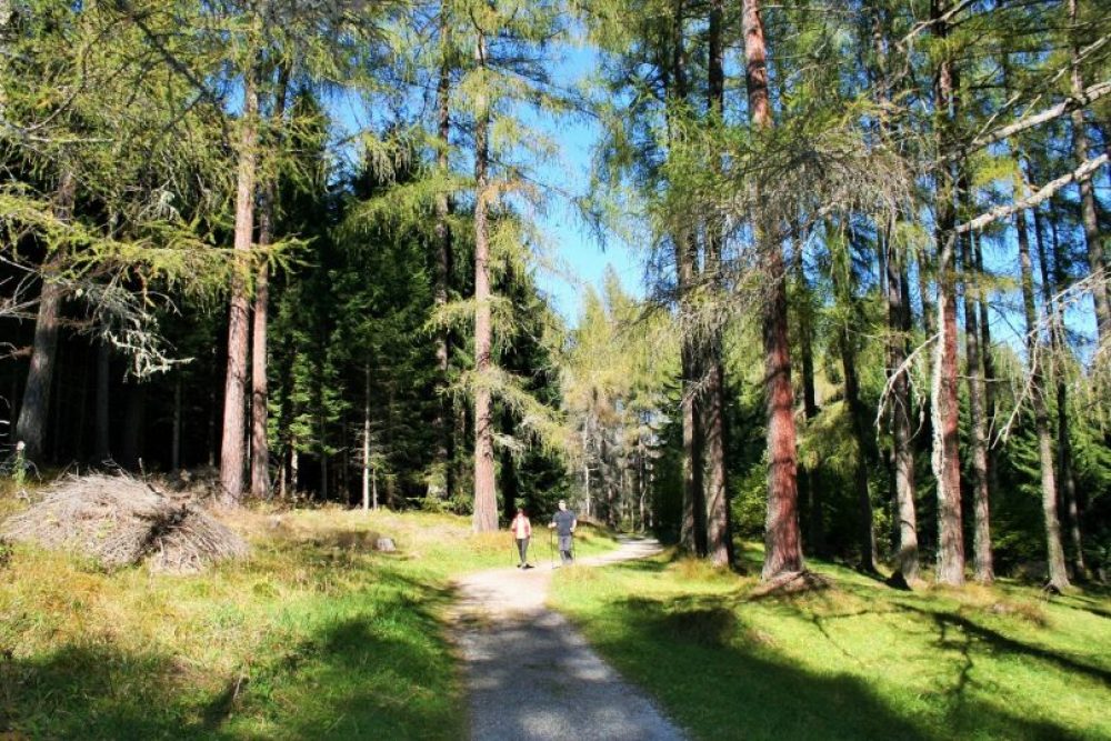 Das Naherholungsgebiet erster Güte lädt zu kleineren oder auch größeren Wanderungen ein. Foto: Tamara Kainz