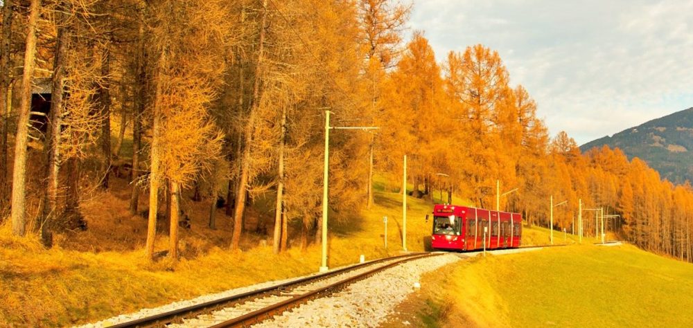 Gelb, orange, rot - in den Telfer Wiesen macht der goldene Herbst seinem Namen alle Ehre! Foto: IVB