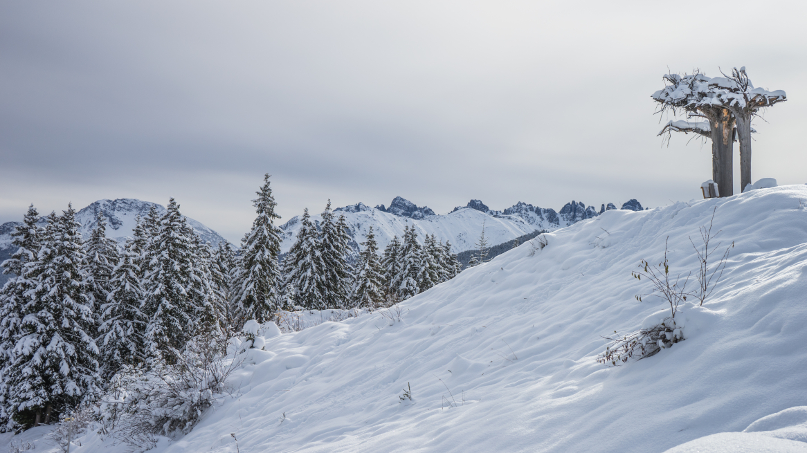 Skitour Rangger Köpfl