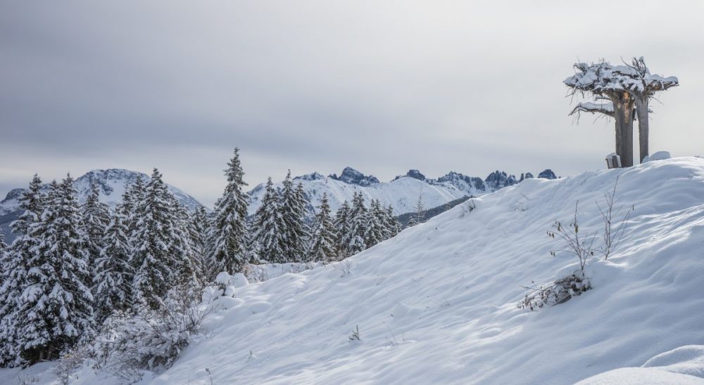 Skitour Rangger Köpfl © Joffrey Thevenon