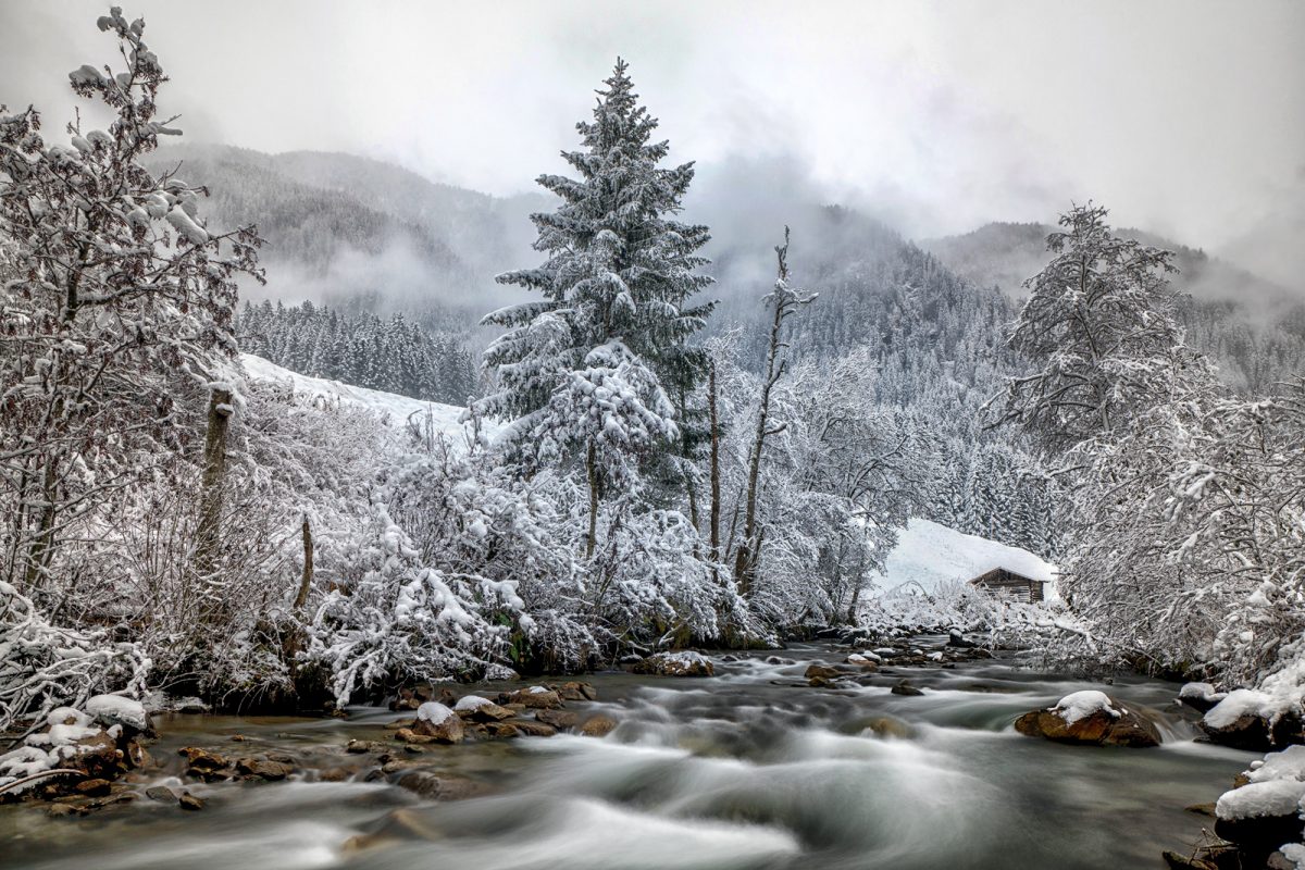 © Danijel Jovanovic