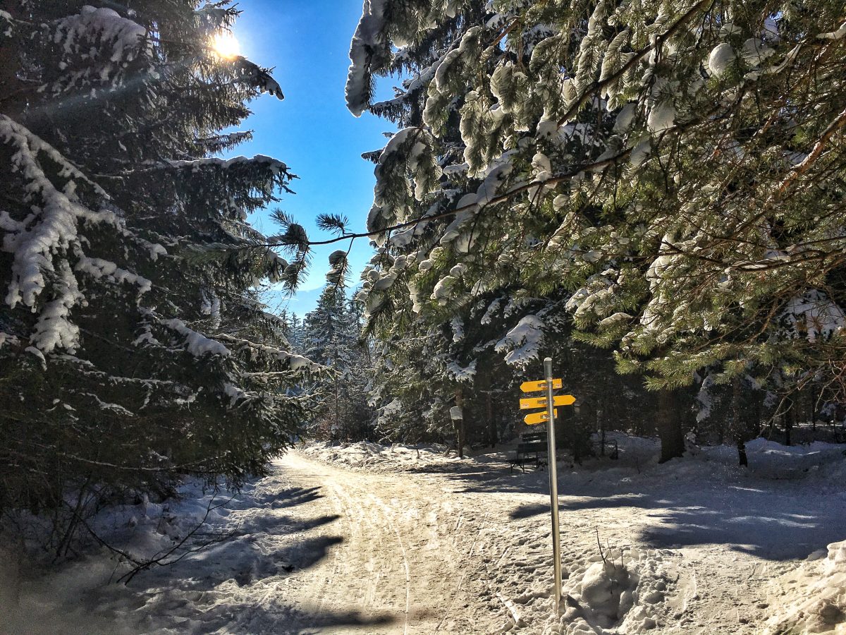 Wanderweg zum Höttinger Bild Wanderweg zum Höttinger Bild
