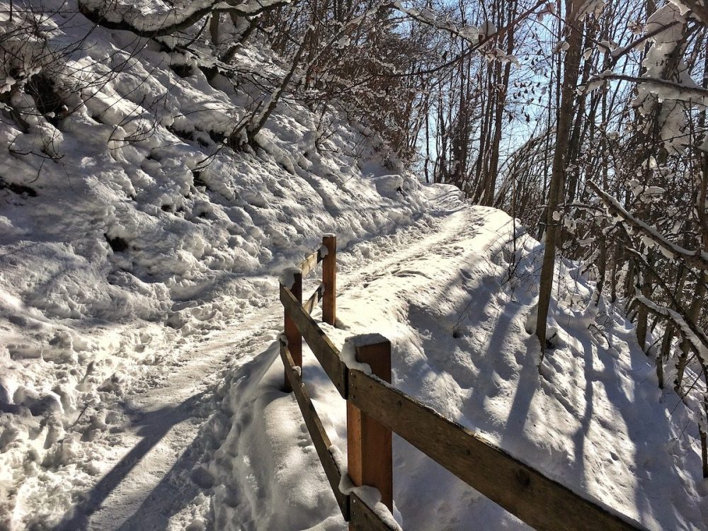 Ein Wintermärchen
